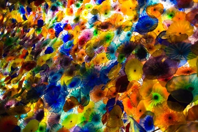 Beautiful And Adorable Dale Chihuly Wallpaper: Art By Free ...