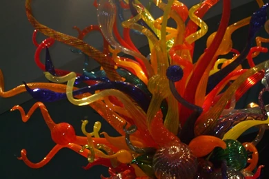 Beautiful And Adorable Dale Chihuly Wallpaper: Art By Free ...