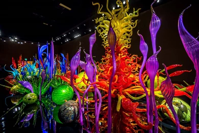 Chihuly Lessons TES