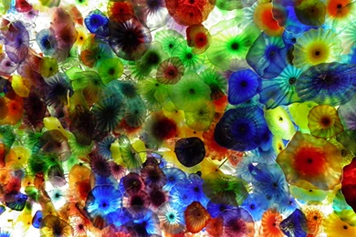 25 Random Facts About Me