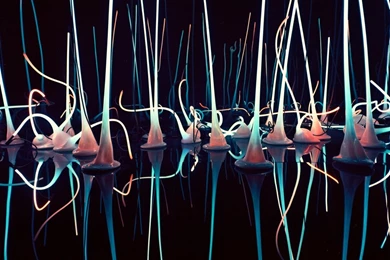 Chihuly Garden And Glass HD Desktop Wallpapers : Widescreen : High ...