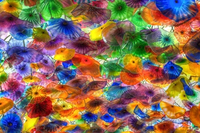 Chihuly Special