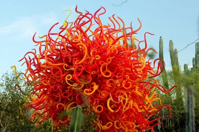 March 7th, 2014 – Chihuly In The Desert Botanical Garden – Phoenix ...