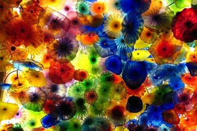 Chihuly HD Wallpapers   HD Wallpapers Inx