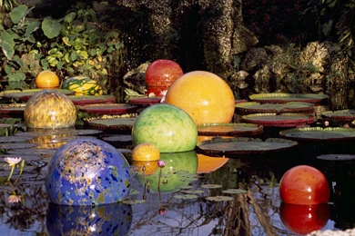 Chihuly And Beyond