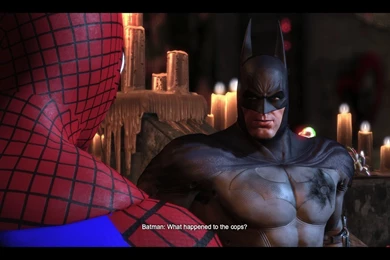 Spiderman And Batman Photo 2 By New mugnelove100 On DeviantArt