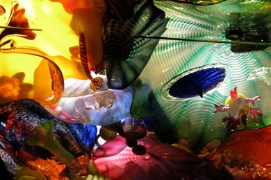 Dale Chihuly Exhibition At The De Young Museum San Francisco ...