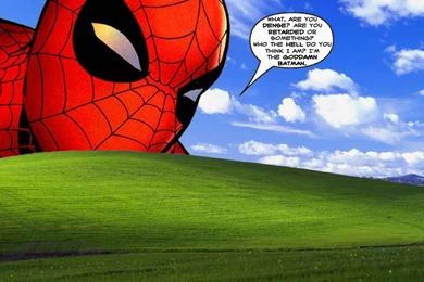 Batman Spider Man Wallpapers   (