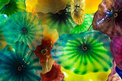 Chihuly Glass ArtSamsung Wallpapers Download