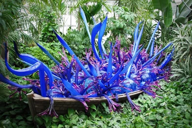 Dale Chihuly's Boat By Zaichick On DeviantArt