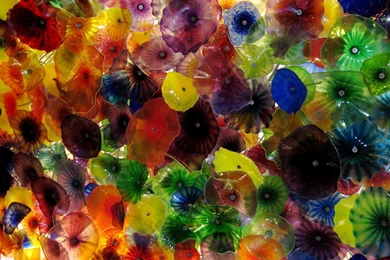 Artgazing   52 Weeks Of Art &amp; Wine: Seaforms And Chandeliers