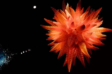 Chihuly Garden And Glass HD Wallpapers. 4K Wallpapers