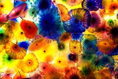 Chihuly   DeviantArt