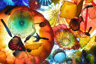 Categories Photographs » Earth Traditions