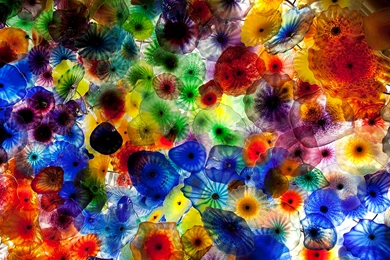 RePin Image: Boston. . . Dale Chihuly On Pinterest