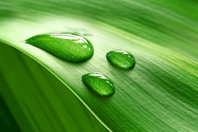 Oppo Find 7 Wallpapers And Lockscreens