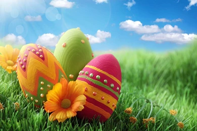 Easter Egg Wallpapers   Android Apps On Google Play