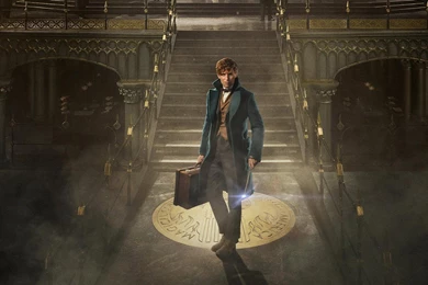 Fantastic Beasts And Where To Find Them 2016 HD Wallpapers