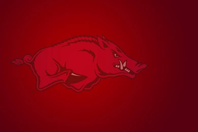 Arkansas Razorbacks Wallpapers For iPad Air