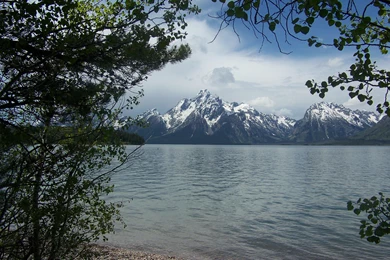 Grand Tetons Across Jenny Lake Desktop Wallpapers