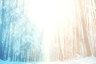 Holiday Worship Schedules