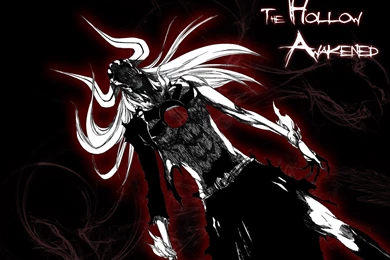 New Bleach Hollow Wallpapers Desktop