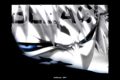 Download Bleach Hollow Wallpapers 1228x768