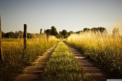 Country Road, Late Summer HD Desktop Wallpapers : High Definition ...