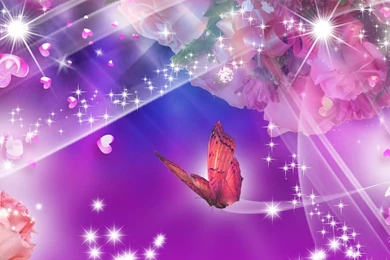 Roses On Bright >> HD Wallpaper, Get It Now!