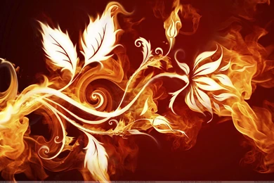 Artistic Flower Branch On Red Backgrounds Wallpapers