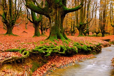 Top Beautiful Scenery Wallpapers 3.jpg