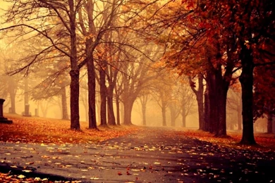 Beautiful Scenery Wallpapers Desktop Wallpapers