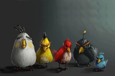 Download Angry Birds 3d Wallpapers High Quality Resolution