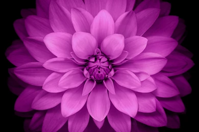 Wallpaper Images Collection (47+)