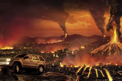 Hd Wallpapers Lions Dowload