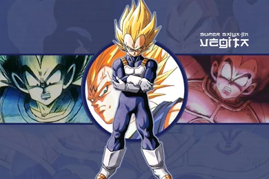 109 Vegeta (Dragon Ball) HD Wallpapers