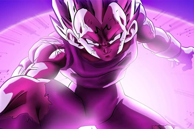 Majin Vegeta Wallpapers   Wallpapers Cave