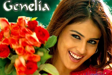 Telugu Wallpapers Download   Wallpapers HD Base