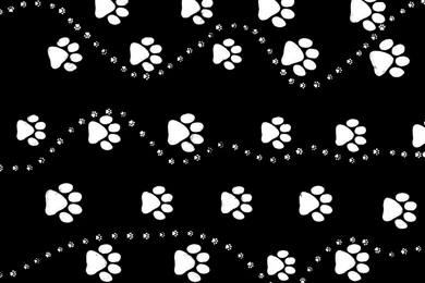 Paw Print Wallpapers