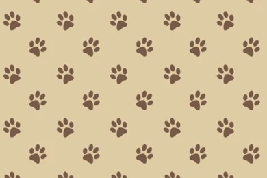 Seamless Paw Print Pattern