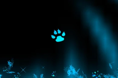 Paw Print Wallpapers   (