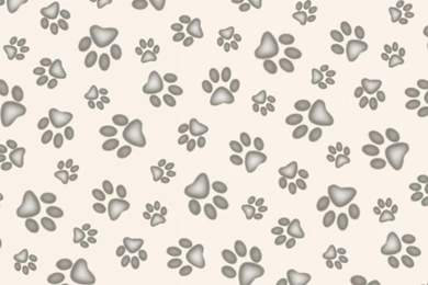 Dog Paw Wallpapers   Wallpapers Zone