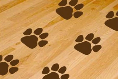 Appealing Pics Above, Is Section Of Dog Paws Print Wallpapers For ...