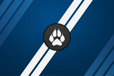 Paw Print Wallpapers By IvanTheLoneWolf On DeviantArt