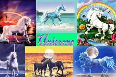 Unicorn Backgrounds   Unicorns Photo (1673671)   Fanpop