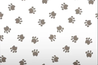 Amazon.com: Paw Print Wallpaper: Appstore For Android