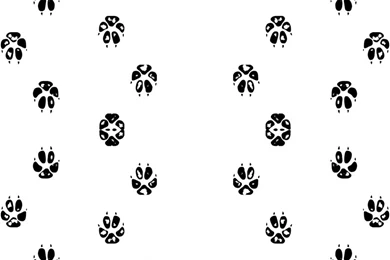 Paw Prints Fabric, Wallpapers & Gift Wrap   Spoonflower