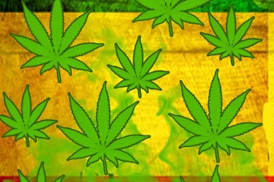 Rasta Weed Live Wallpapers   Android Apps On Google Play