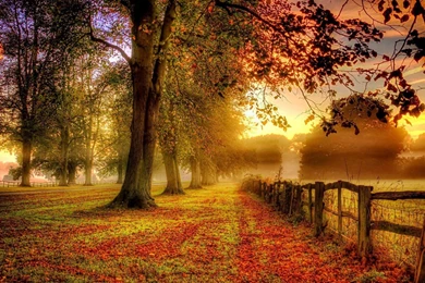 977AA1 Color Wallpapers: Serene Sunset Autumn Colors Fall Leaves ...