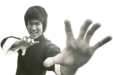 15 Quality Bruce Lee Wallpapers, Celebrity